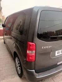 Peugeot Expert 2024 Expert