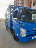 camion-isuzu-2013-ferdjioua-mila-algerie