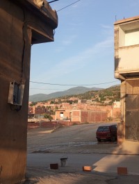 أرض-بيع-البليدة-الشفة-الجزائر