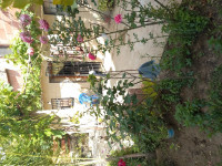 niveau-de-villa-location-vacances-f2-chlef-tenes-algerie