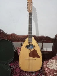 Mandole pro
