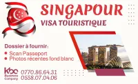 visa Singapour 