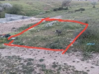 Vente Terrain Tlemcen Ghazaouet
