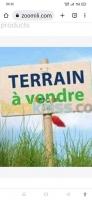 terrain-vente-bouira-ath-mansour-taourirt-algerie