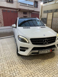 voitures-mercedes-ml-2014-les-eucalyptus-alger-algerie