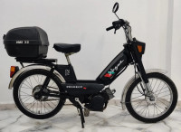 motos-et-scooters-peugeot-vogue-carre-relizane-algerie