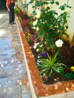 cleaning-gardening-jardinier-a-alger-et-ses-environs-centre-algeria