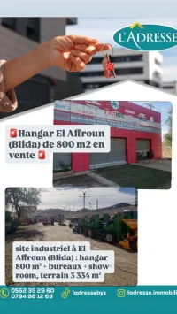 Vente Hangar Blida El affroun