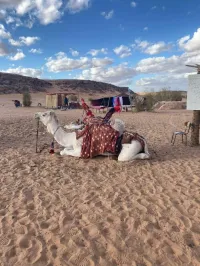 TAGHIT BENI ABBES 