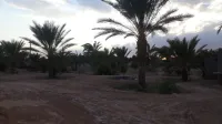 Vente Terrain Ouled Djellal Ouled Djellal