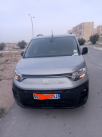 utilitaire-fiat-professional-doblo-2023-telerghma-mila-algerie