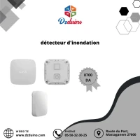 détecteur d'inondation