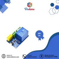 module relais
