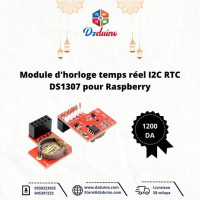 composants-materiel-electronique-module-dhorloge-temps-reel-i2c-rtc-ds1307-pour-raspberry-mostaganem-algerie