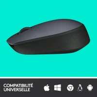 Logitech M170 Wireless Mouse Souris sans fil - ambidextre - capteur optique - 3 boutons
