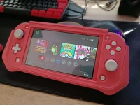 Nintendo switch lite flashé 