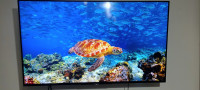 televiseurs-vente-une-tv-sony4k-oran-algerie