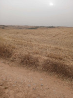 terrain-agricole-vente-bouira-algerie