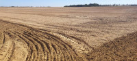 terrain-agricole-vente-djelfa-benhar-algerie