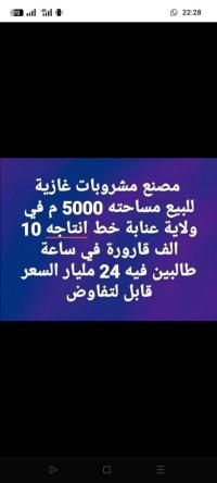 أرض-فلاحية-بيع-عنابة-الجزائر