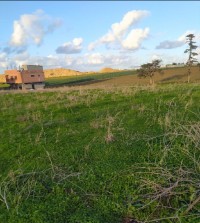 terrain-vente-boumerdes-ouled-moussa-algerie