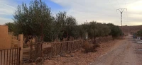 Vente Terrain Agricole Ghardaïa El atteuf