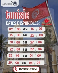 Tunisie  par avion 