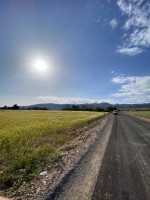 terrain-vente-batna-oued-chaaba-algerie