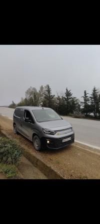 السيارات-النفعية-fiat-doblo-2024-تيسمسيلت-الجزائر