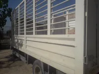 جاك، جيامسي ، جاكمان ماريشي 