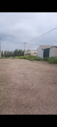 Vente Terrain Agricole Tiaret Mahdia
