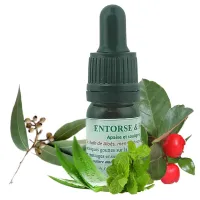 Apaise & Soulage - Huile Confort Articulaire & Musculaire à l'Aloe Vera et Actifs Essentiels