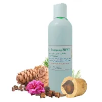 Shampoing Révélateur d'Éclat & Anti-Pellicules Nettoie, Fortifie et Stimule les Cheveux Ternes