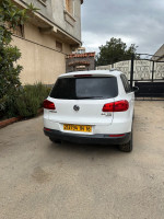 voitures-volkswagen-tiguan-2014-style-les-eucalyptus-alger-algerie