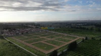Vente Terrain Blida Beni tamou