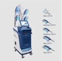 Vertical 360 Degree Cryolipolysis Machine, For Hospital, Model Name/Number: 5g Cryo