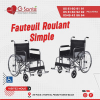 autre-fauteuil-roulant-simple-cuir-blida-algerie