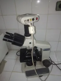 MICROSCOPE 