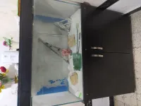 Aquarium 