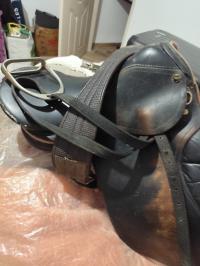 أكسسوارات-للحيوانات-selle-d-equitation-25000-بجاية-الجزائر