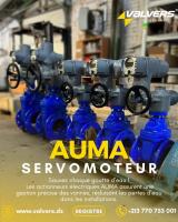 industrie-fabrication-servomoteur-electrique-auma-bir-el-djir-oran-algerie