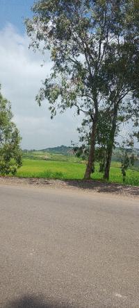 land-sell-boumerdes-issers-algeria