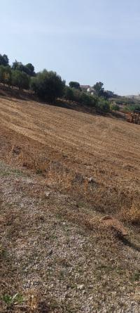 land-sell-boumerdes-larbatache-algeria