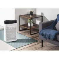 PURIFICATEUR ROWENTA ESSENTIEL PU2530 F0
