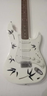 Guitares électriques 