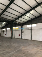 hangar-location-alger-dar-el-beida-algerie