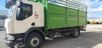 truck-220-11t-renault-2017-setif-algeria