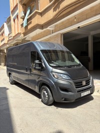 fourgon-fiat-ducato-2024-batna-algerie
