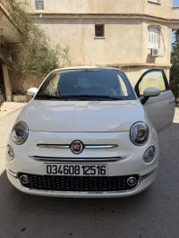 سيارات-fiat-500-2025-cult-mib-القبة-الجزائر