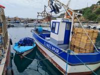 bateaux-barques-moteur-120-chevaux-marque-hino-قارب-صيد-ساردين-bateau-peche-sardine-polyester-9-metre-bonne-etat-2004-collo-skikda-algerie